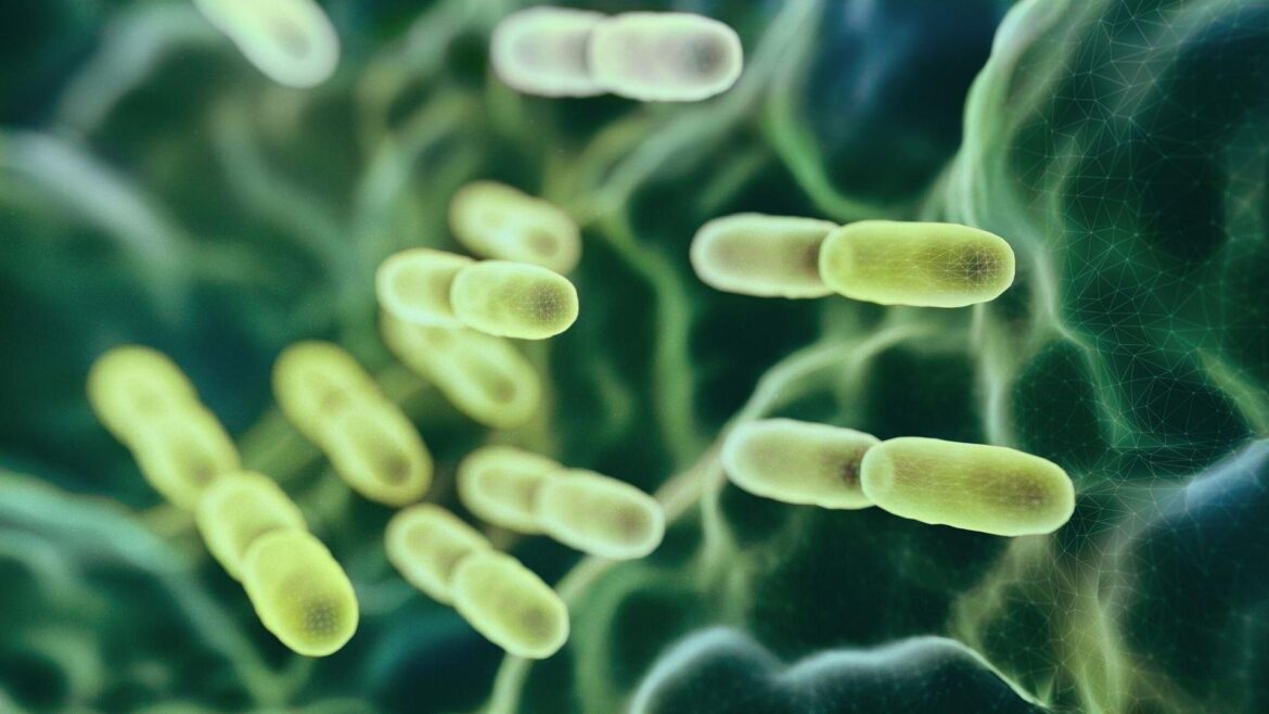 Latviski šis nosaukums būtu:

Eksperti, kas izstrādā imunitāti stiprinošas terapijas tuberkulozes ārstēšanai

Paskaidrojums:  
– “Ekspertai” – “Eksperti” (daudzskaitlī, jo lietots lietvārds kopā ar darbību).
– “kuriantys” – “kas izstrādā” (nozīmē ‘tie, kas veido/izstrādā’).
– “imunitetą stiprinančias terapijas” – “imunitāti stiprinošas terapijas”.
– “tuberkuliozei gydyti” – “tuberkulozes ārstēšanai”.

Vārdu kārtība un locījumi pielāgoti, lai izteiksme būtu dabiska latviešu valodā.