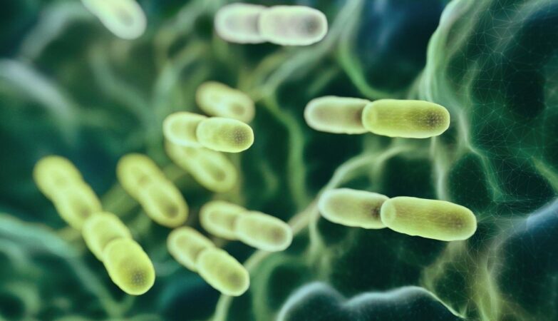 Ekspertai, kuriantys imunitetą stiprinančias terapijas tuberkuliozei gydyti