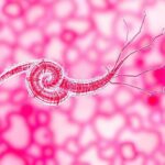 helicobacter pylori gydymas